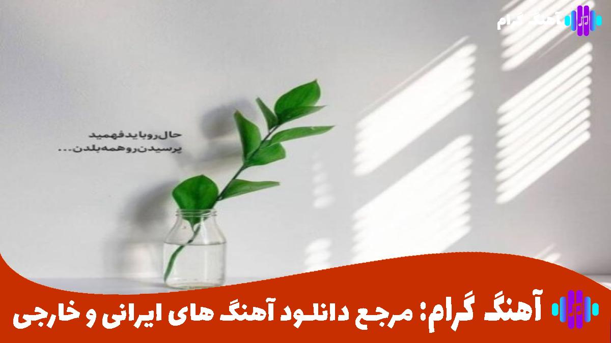 کاور آهنگ نبودی دیگه جدی میمردم از هایده و شادمهر 